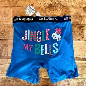 Hatley Blue Men's Boxer Briefs